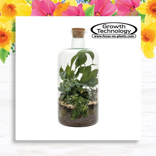 Make Your Own Terrarium Workshop - Image 2