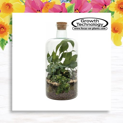Make Your Own Terrarium Workshop