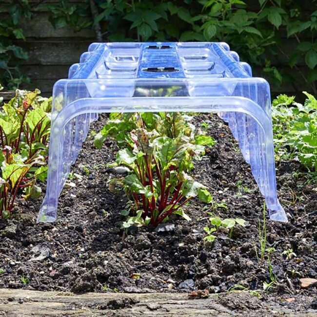 SMART GARDEN CLEAR CLOCHE