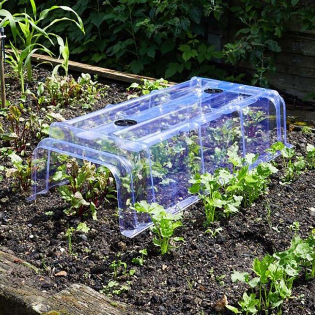 SMART GARDEN CLEAR CLOCHE - Image 2