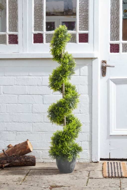 Smart Garden Cyprus Twirl Topiary - Image 2