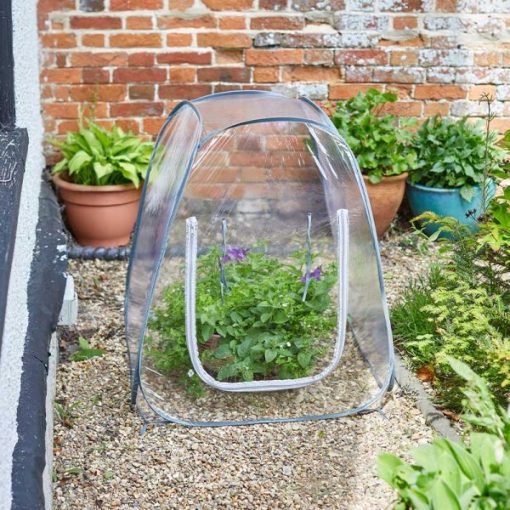 Smart Garden 50x50 Pop-Up GroZone - Image 2