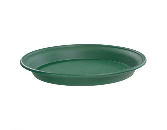 STEWART MULTI PURPOSE SAUCER GREEN