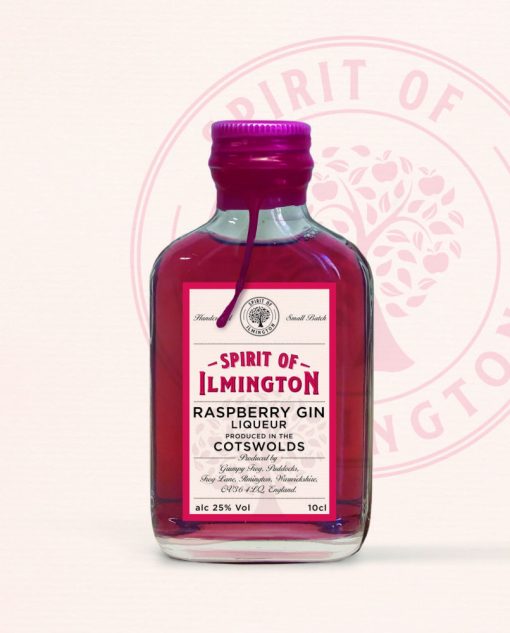 SPIRIT OF ILMINGTON DAMSON GIN LARGE - Image 2