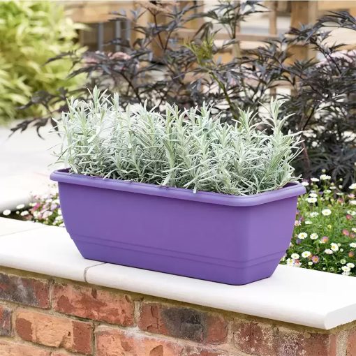 Stewart Patio Trough Lavender - Image 2