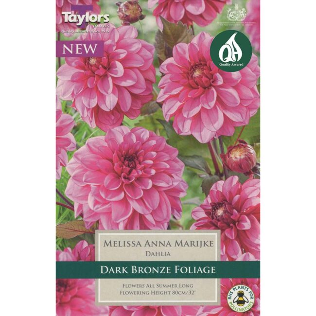 TAYLORS BULBS DAHLIA MELISSA ANNA MARIJKE
