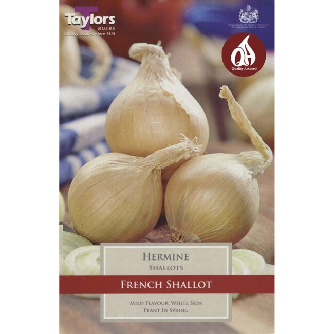 TAYLORS BULBS FRENCH SHALLOT HERMINE