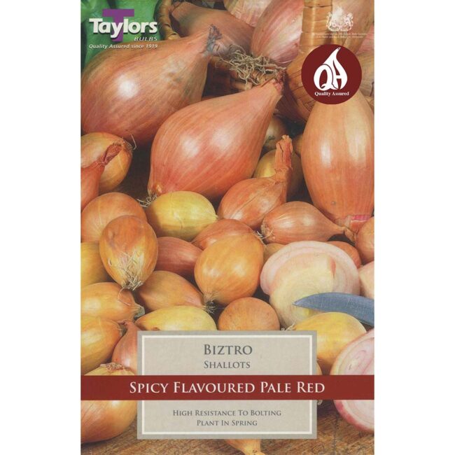 TAYLORS BULBS SHALLOT BIZTRO