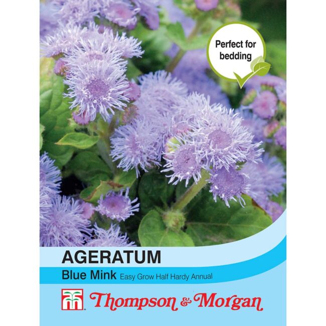 THOMPSON & MORGAN - AGERATUM BLUE MINK SEEDS