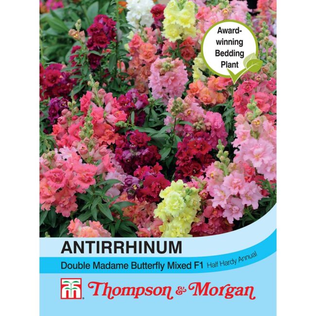 THOMPSON & MORGAN - ANTIRRHINUM DOUBLE MADAM BUTTERFLY SEEDS