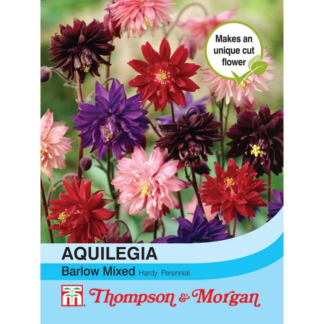 THOMPSON & MORGAN - AQUILEGIA NORA BARLOW MIXED SEEDS