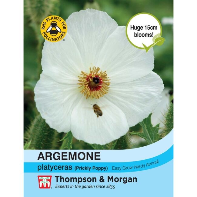 THOMPSON & MORGAN - ARGEMONE PLATYCERAS SEEDS