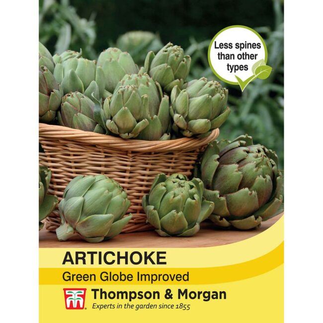THOMPSON & MORGAN - ARTICHOKE GREEN GLOBE SEEDS