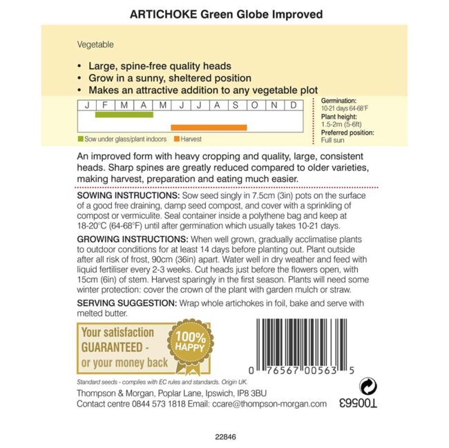 THOMPSON & MORGAN - ARTICHOKE GREEN GLOBE SEEDS - Image 2