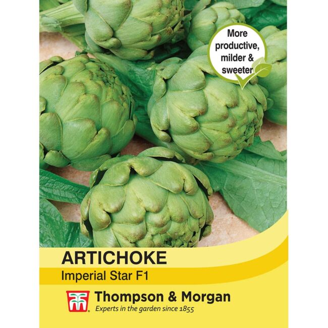THOMPSON & MORGAN - ARTICHOKE IMPERIAL STAR