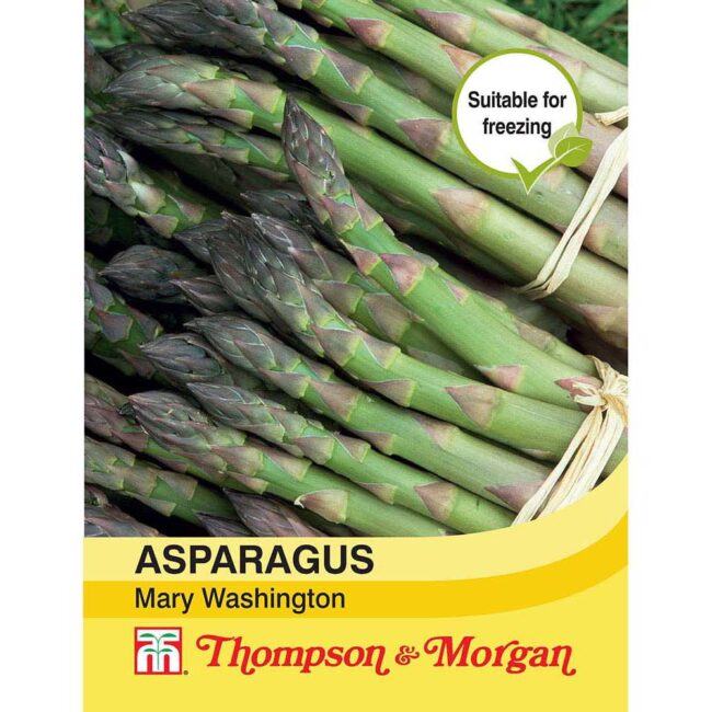 THOMPSON & MORGAN - ASPARAGUS MARY WASHINGTON