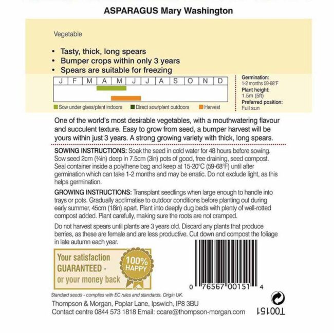 THOMPSON & MORGAN - ASPARAGUS MARY WASHINGTON - Image 2