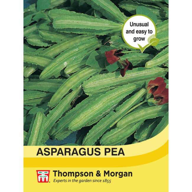 THOMPSON & MORGAN - ASPARAGUS PEA