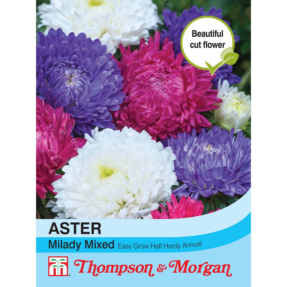 THOMPSON & MORGAN - ASTER MILADY MIXED SEEDS