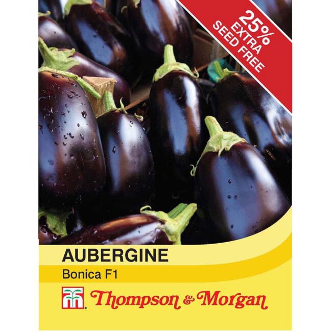 THOMPSON & MORGAN - AUBERGINE BONICA SEEDS