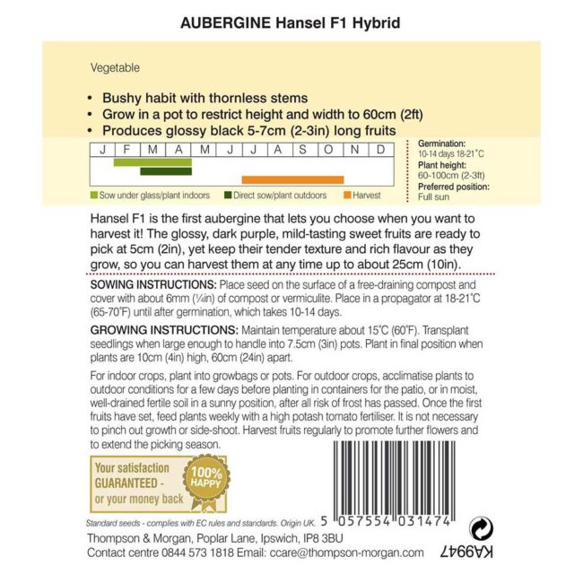THOMPSON & MORGAN - AUBERGINE HANSEL F1 HYBRID SEEDS - Image 2