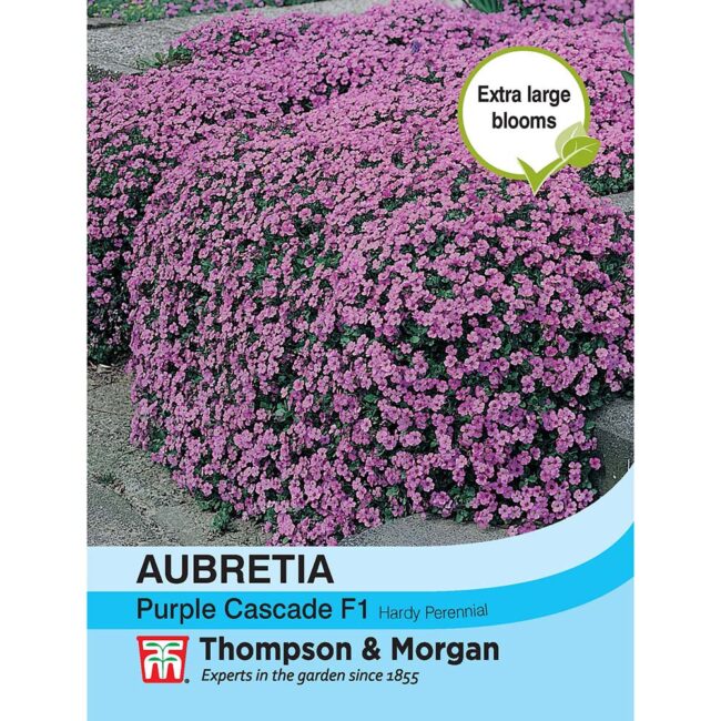 THOMPSON & MORGAN - AUBRIETA PURPLE CASCADE SEEDS