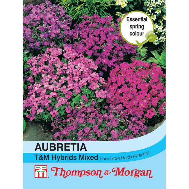 THOMPSON & MORGAN - AUBRIETA T&M HYBRIDS MIXED SEEDS
