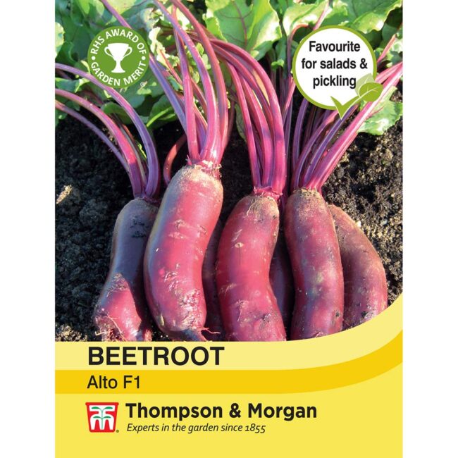 THOMPSON & MORGAN - BEETROOT ALTO F1 HYBRID SEEDS