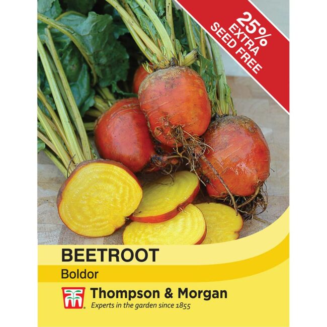 THOMPSON & MORGAN - BEETROOT BOLDOR SEEDS