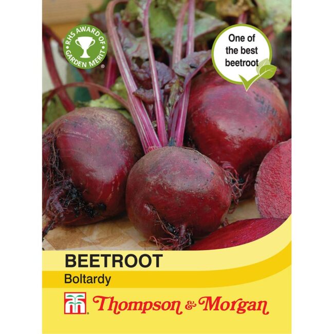 THOMPSON & MORGAN - BEETROOT BOLTARDY SEEDS