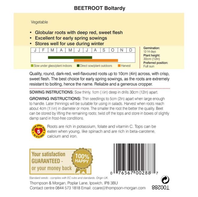 THOMPSON & MORGAN - BEETROOT BOLTARDY SEEDS - Image 2
