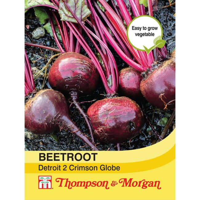 THOMPSON & MORGAN - BEETROOT DETROIT 2 CRIMSON GLOBE SEEDS
