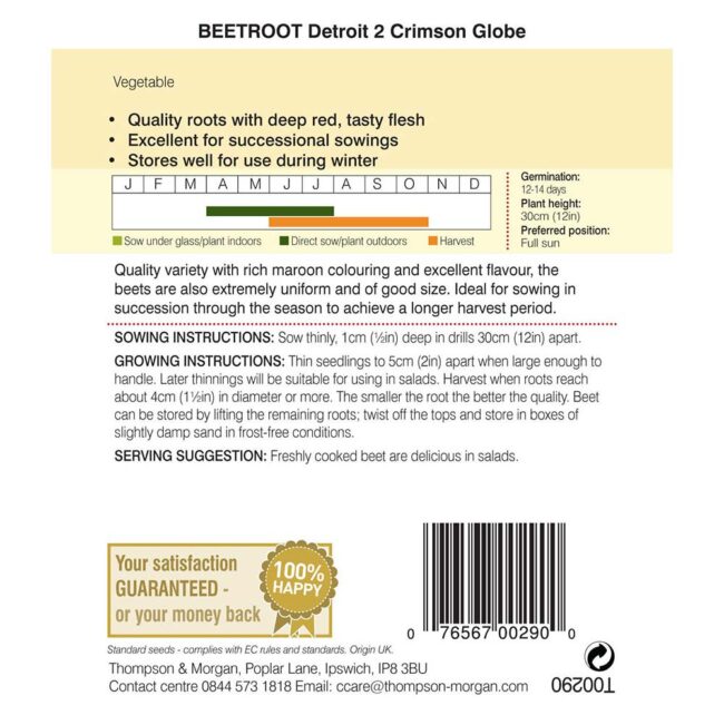 THOMPSON & MORGAN - BEETROOT DETROIT 2 CRIMSON GLOBE SEEDS - Image 2