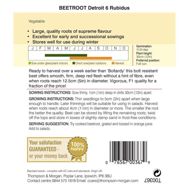 THOMPSON & MORGAN - BEETROOT DETROIT 6 RUBIDUS SEEDS - Image 2