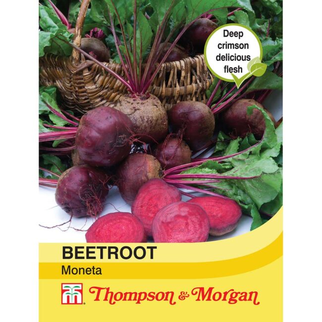 THOMPSON & MORGAN - BEETROOT MONETA SEEDS