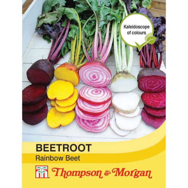 THOMPSON & MORGAN - BEETROOT RAINBOW BEET SEEDS