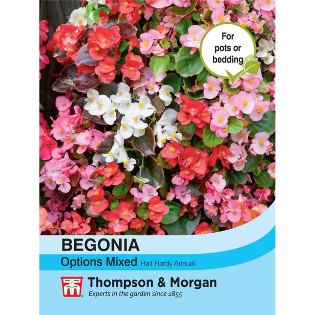 THOMPSON & MORGAN - BEGONIA SEMPERFLORENS OPTIONS MIXED SEEDS
