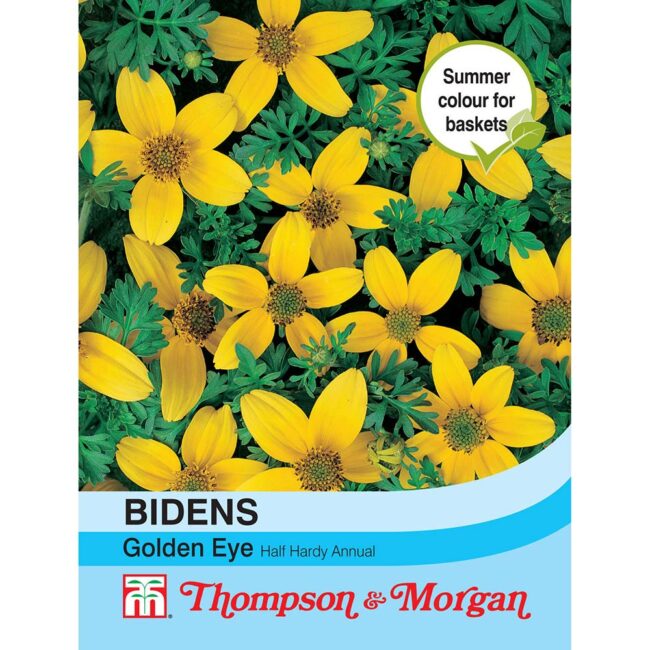 THOMPSON & MORGAN - BIDENS GOLDEN EYE SEEDS