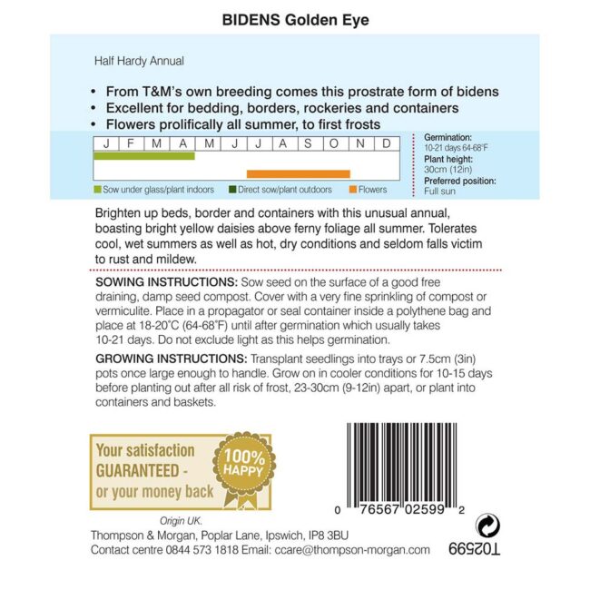 THOMPSON & MORGAN - BIDENS GOLDEN EYE SEEDS - Image 2