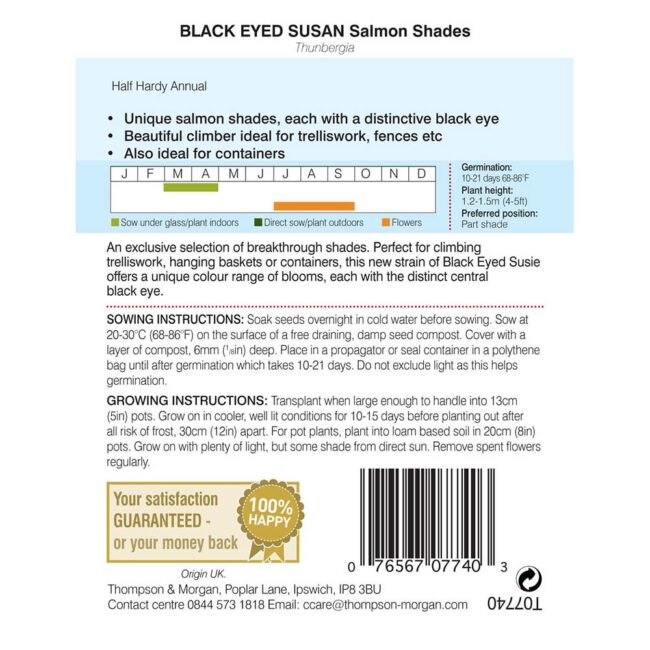 THOMPSON & MORGAN - BLACK EYED SUSAN SALMON SHADES SEEDS - Image 2