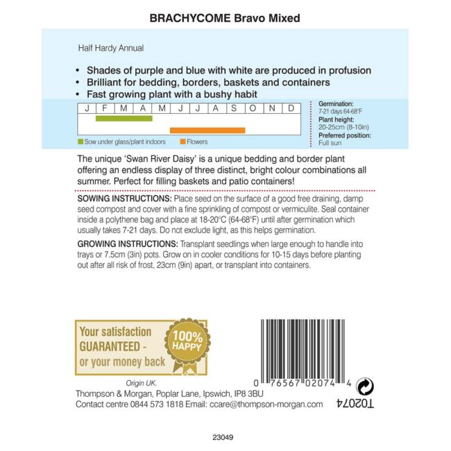 THOMPSON & MORGAN - BRACHYCOME BRAVO SEEDS - Image 2