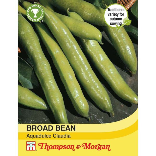 THOMPSON & MORGAN - BROAD BEAN AQUADULCE CLAUDIA SEEDS