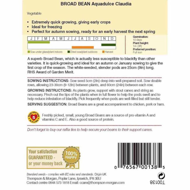 THOMPSON & MORGAN - BROAD BEAN AQUADULCE CLAUDIA SEEDS - Image 2
