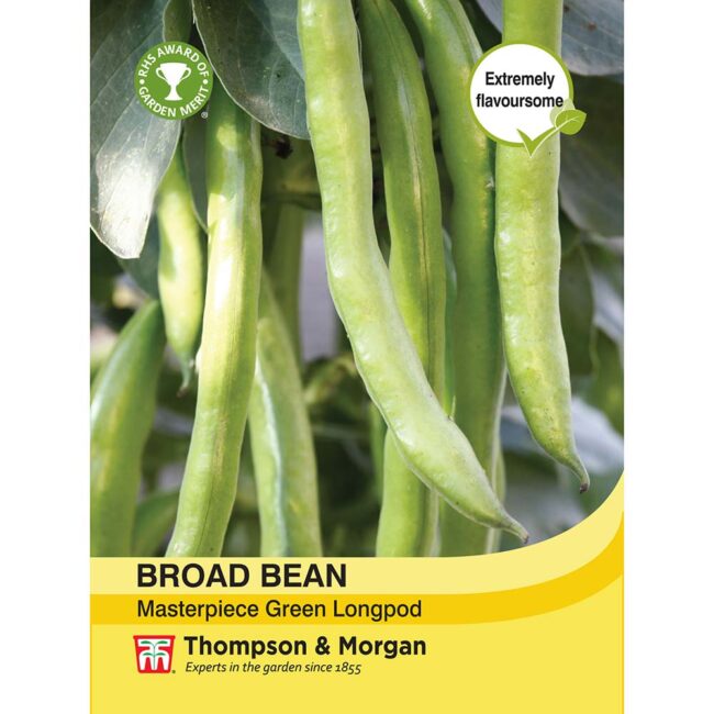 THOMPSON & MORGAN - BROAD BEAN MASTERPIECE GREEN LONGPOD SEEDS