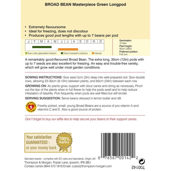 THOMPSON & MORGAN - BROAD BEAN MASTERPIECE GREEN LONGPOD SEEDS - Image 2
