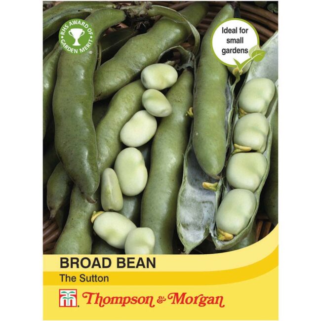 THOMPSON & MORGAN - BROAD BEAN THE SUTTON SEEDS