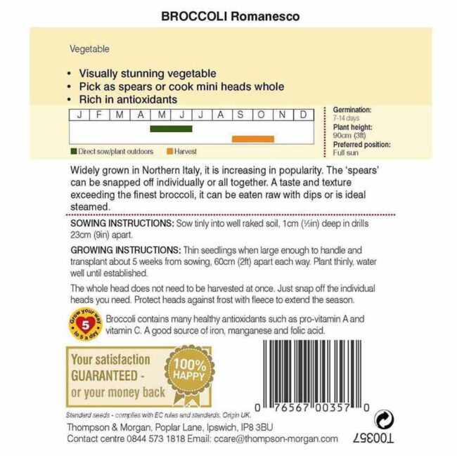THOMPSON & MORGAN - BROCCOLI ROMANESCO SEEDS - Image 2