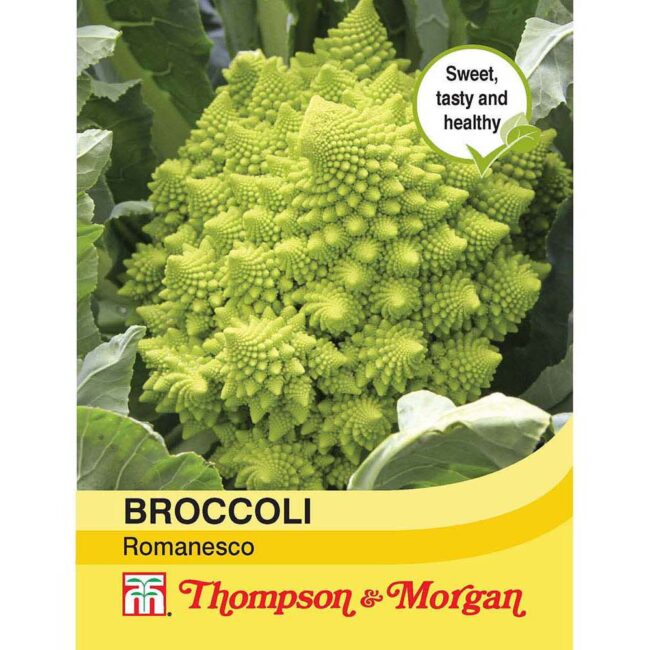THOMPSON & MORGAN - BROCCOLI ROMANESCO SEEDS