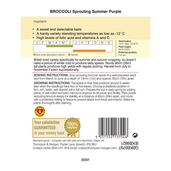 THOMPSON & MORGAN - BROCCOLI SPROUTING SUMMER PURPLE - Image 2