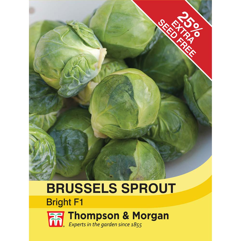 THOMPSON & MORGAN - BRUSSELS SPROUT BRIGHT F1 HYBRID SEEDS